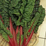 Chard - dramatic and easy to grow