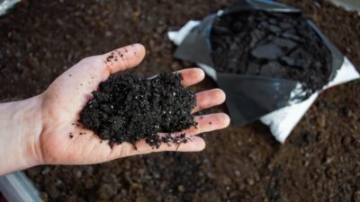 Tips on improving your soil