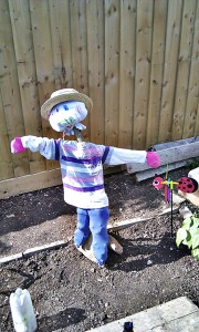 Make your own Scarecrow with Suttons Seeds