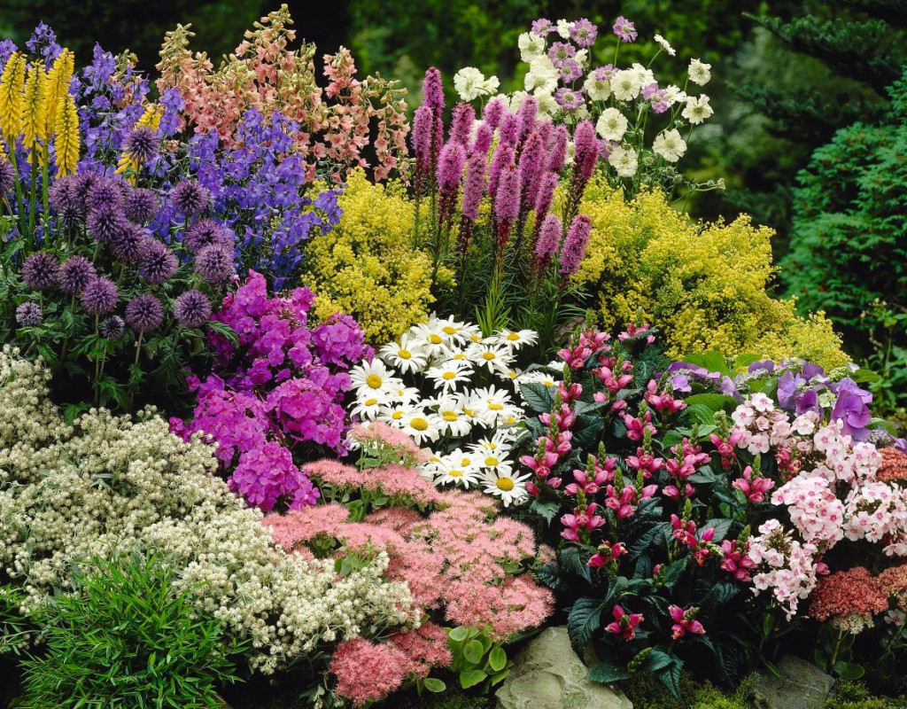 Bedding plants canada Idea