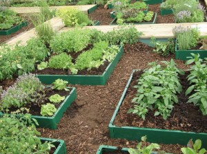 Link-a-board Raised Bed Kit - Available from Suttons Seeds - Click for Details