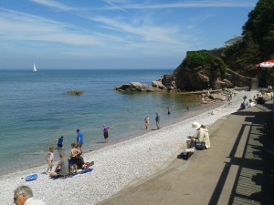 brixham breakwater beach