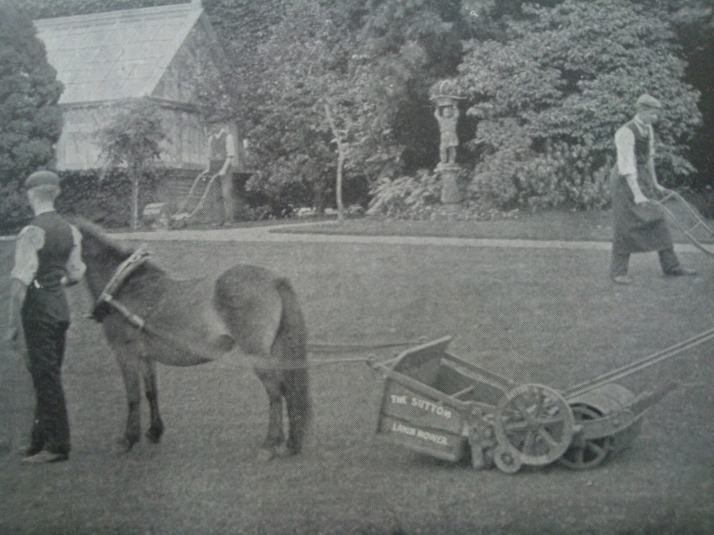Classic lawnmower, Horse not included!