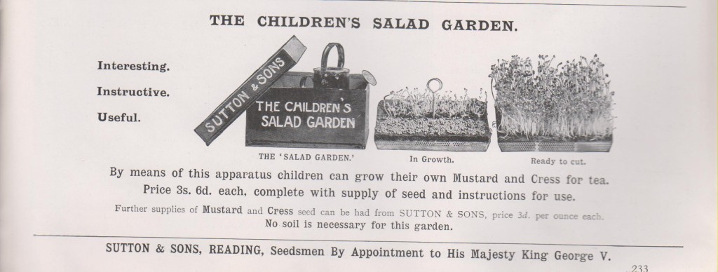 Childrens Salad Garden