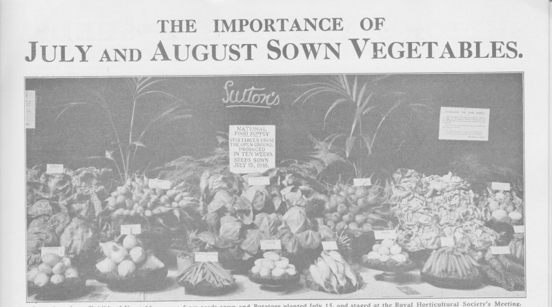 july august sown vegetables black and white newspaper cutting