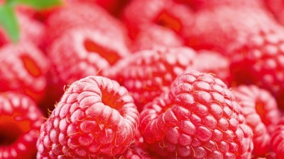 Raspberry Growing Guide