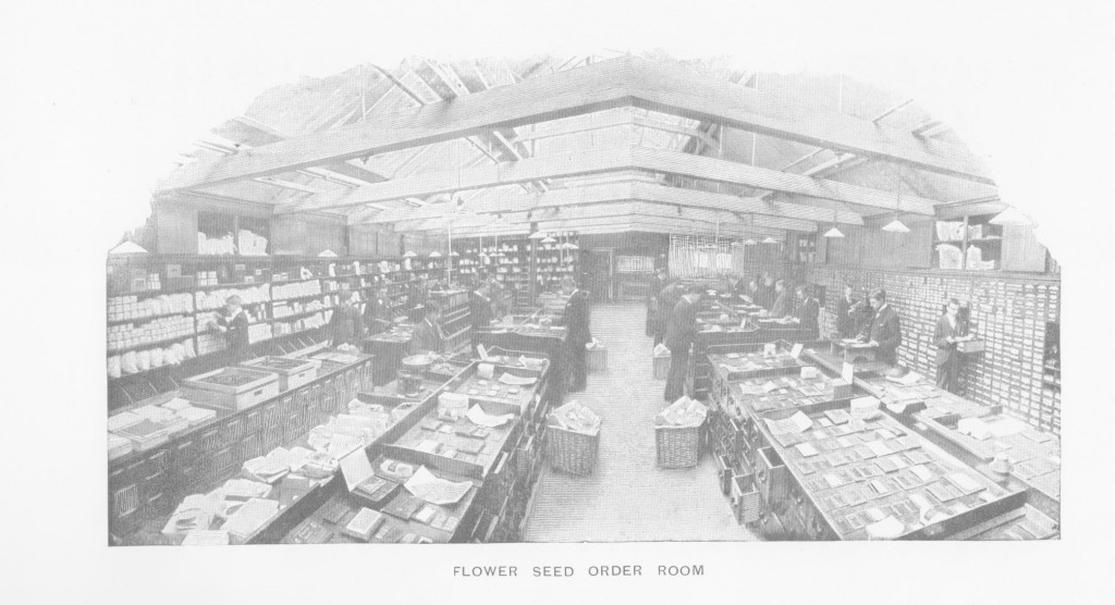 Suttons Seeds Flower Seed Room in the 1900s