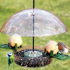 Garden Bird Food and Care