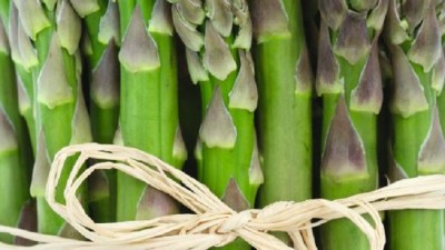 Growing Asparagus: A Simple Guide to Planting & Harvesting