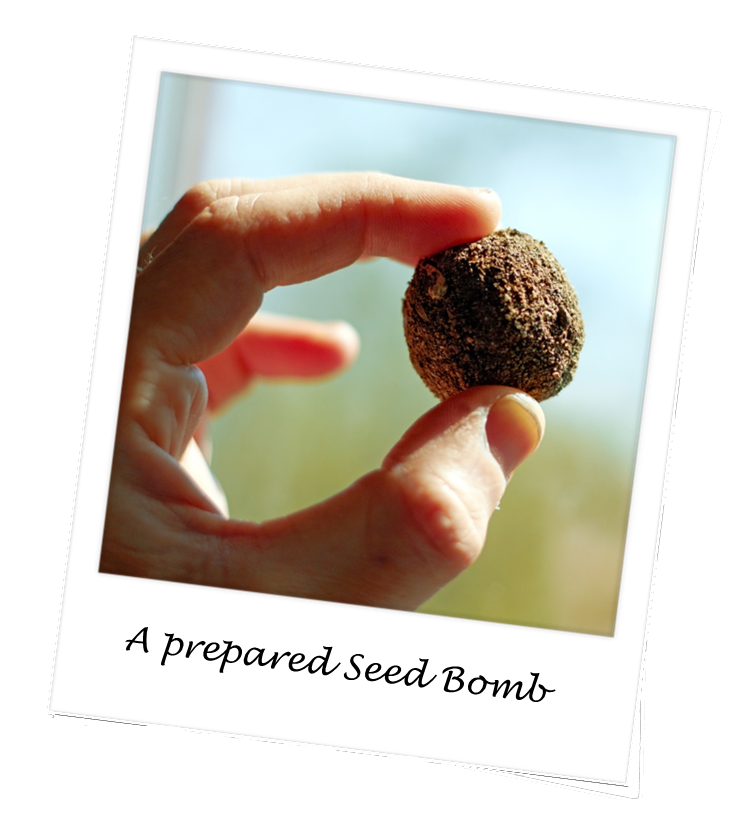 This shows how a completed seed bomb looks