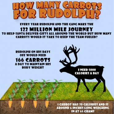Infographic: How Many Carrots for Rudolf?