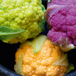 Cauliflower -Tri-colour-Collection