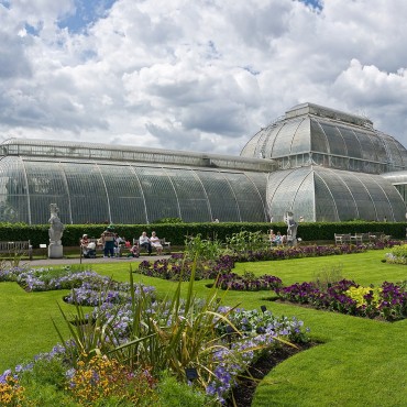 Buying a greenhouse