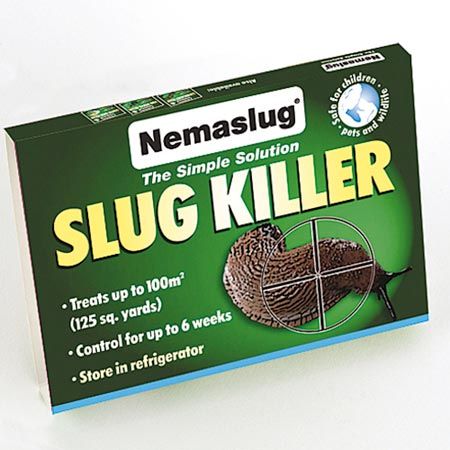 nemasys-slug-killer