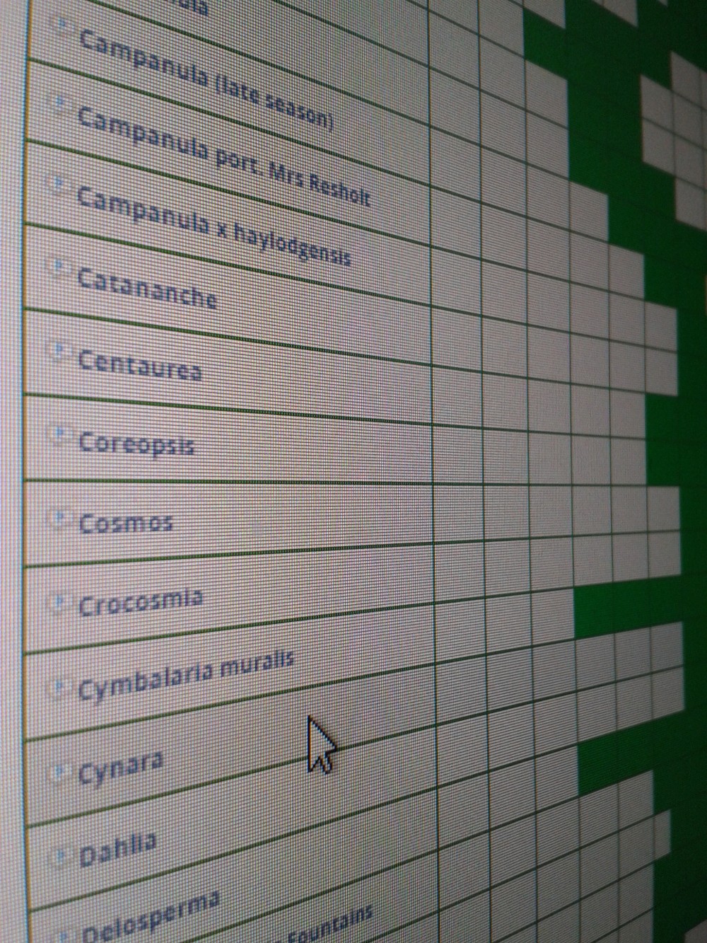 Perennial Plants Flowering Times Guide Suttons Gardening Grow How