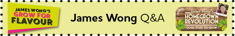 james wong question answer banner
