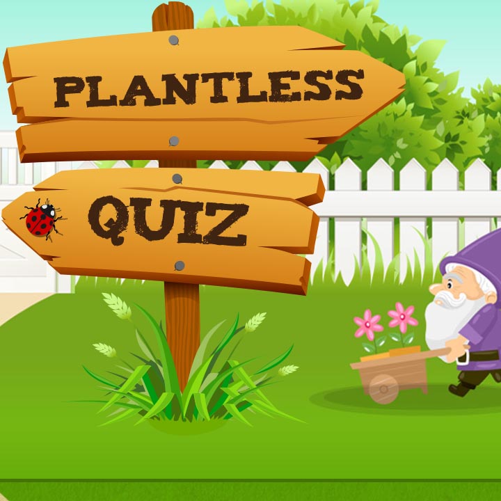 Suttons Plantless Quiz