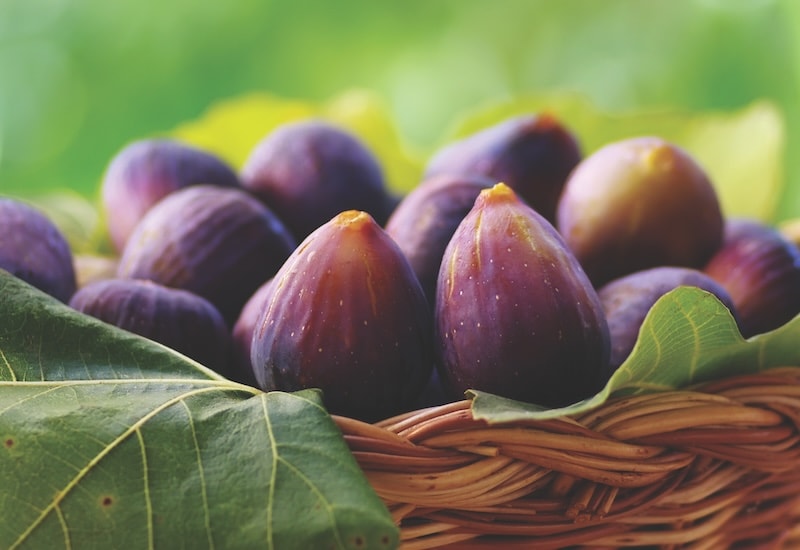 Purple figs in basket