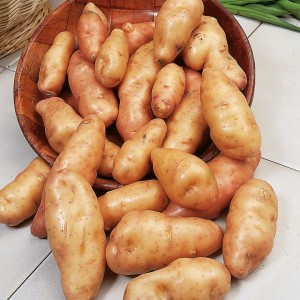 Potato Anya