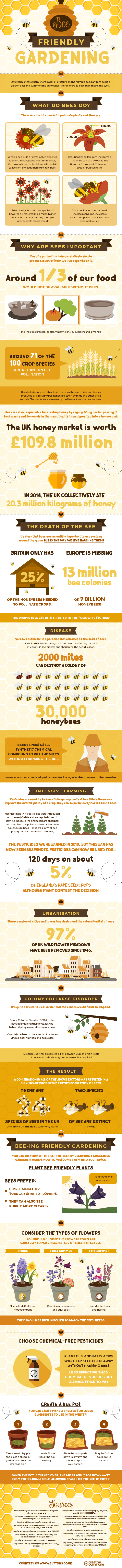 bee friendly gardening Infographic