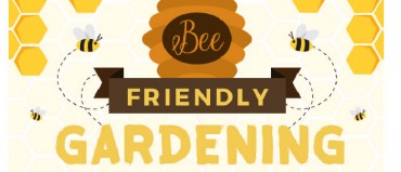 Infographic: Bee Friendly Gardening