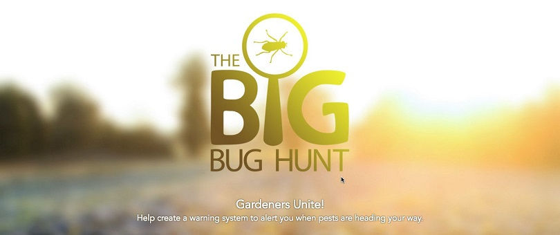 big bug hunt logo