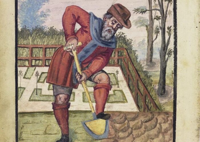 historical-illustration-showing-man-gardening-1.jpg
