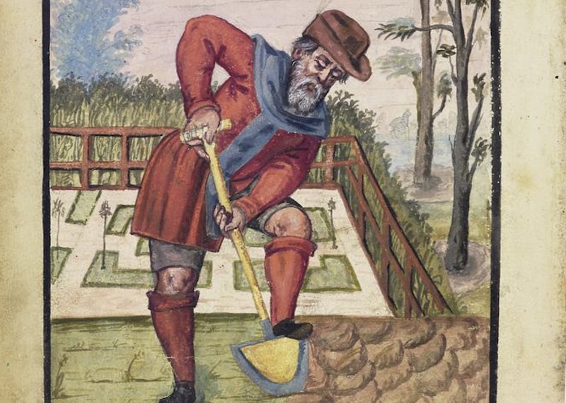 Historical illustration of man gardening