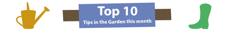 top10 banner