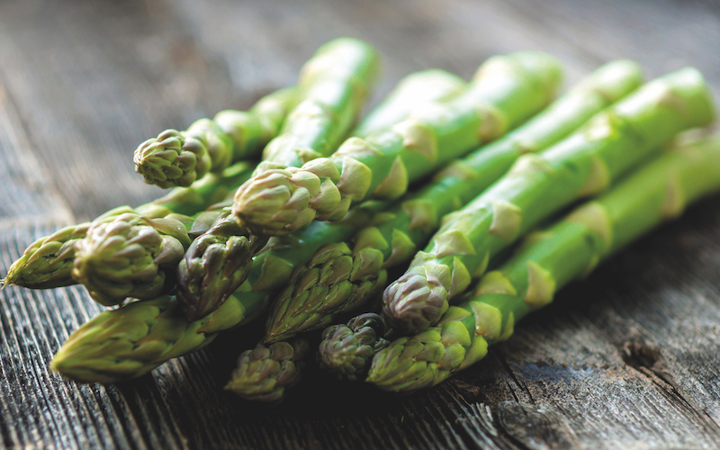 Asparagus officinalis Mondeo from Suttons