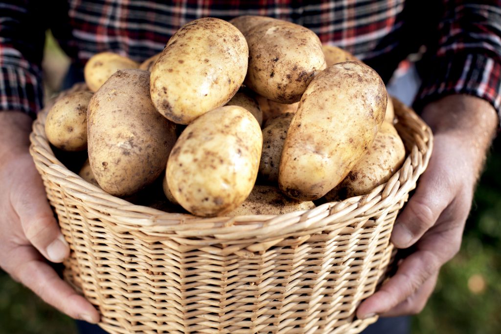 How to Grow Potatoes Suttons Gardening Grow How