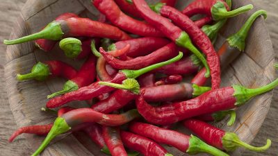 Growing Your Chilli Plant