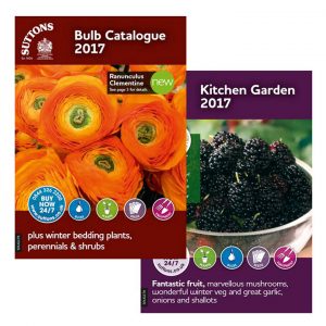 August catalogues