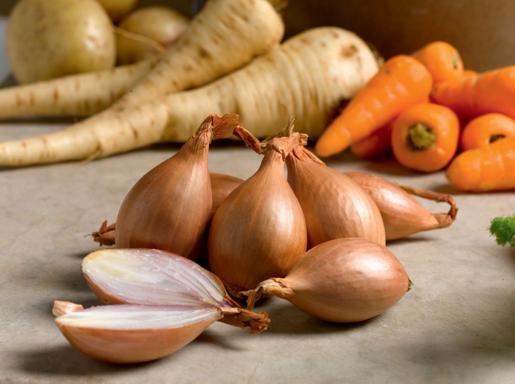 Shallots Growing Guide - Suttons Gardening Grow How