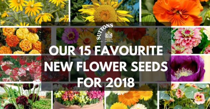 Copy-of-OUR-15-FAVOURITE-NEW-FLOWER-SEEDS-FOR-2018.png