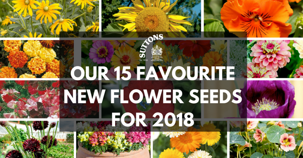 Our Favourite New Flower Seeds for 2018 Suttons Gardening Grow How