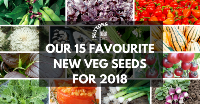 OUR-15-FAVOURITE-NEW-VEG-SEEDS-FOR-2018-1.png