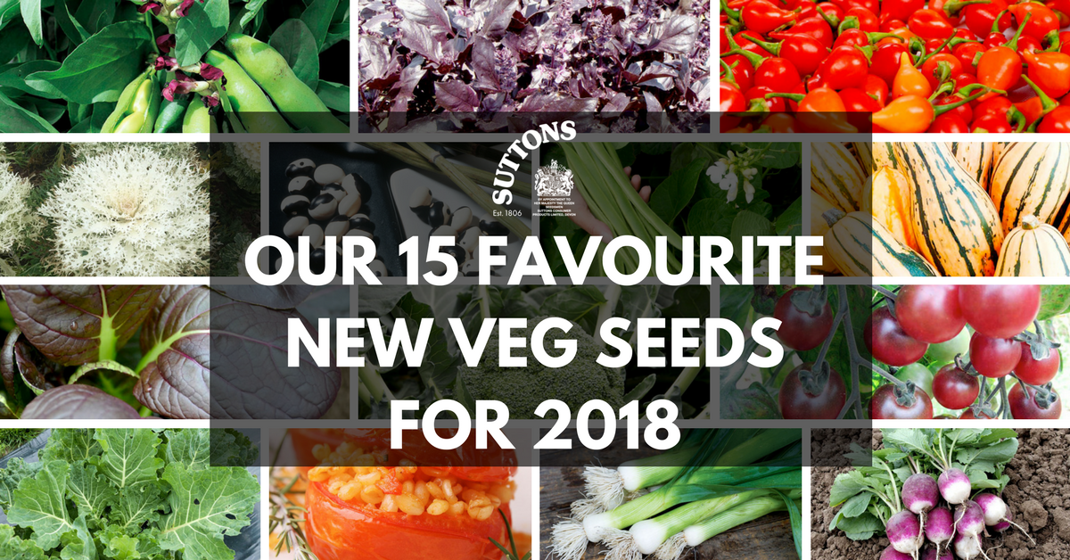 Our Favourite New Vegetable Seed for 2018 Suttons Gardening Grow How