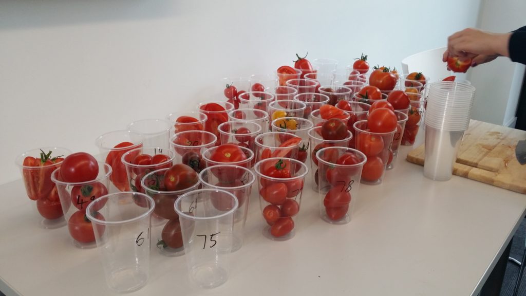 Tomato taste test