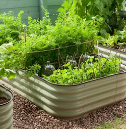 Raised Planting Bed