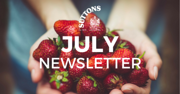 July-newsletter.png