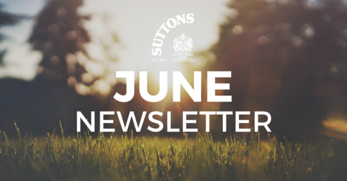 June-newsletter-2.png