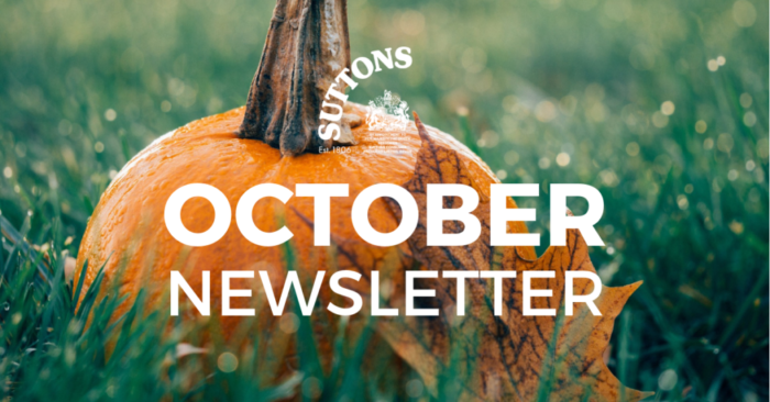 OCT-newsletter.png