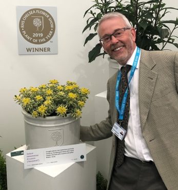 We’ve won…The Sedum Atlantis is crowned Plant of the Year!