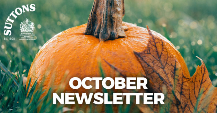 Sutt-Oct-Newsletter.jpg