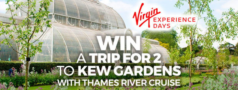Suttons competition win a trip to kew gardens