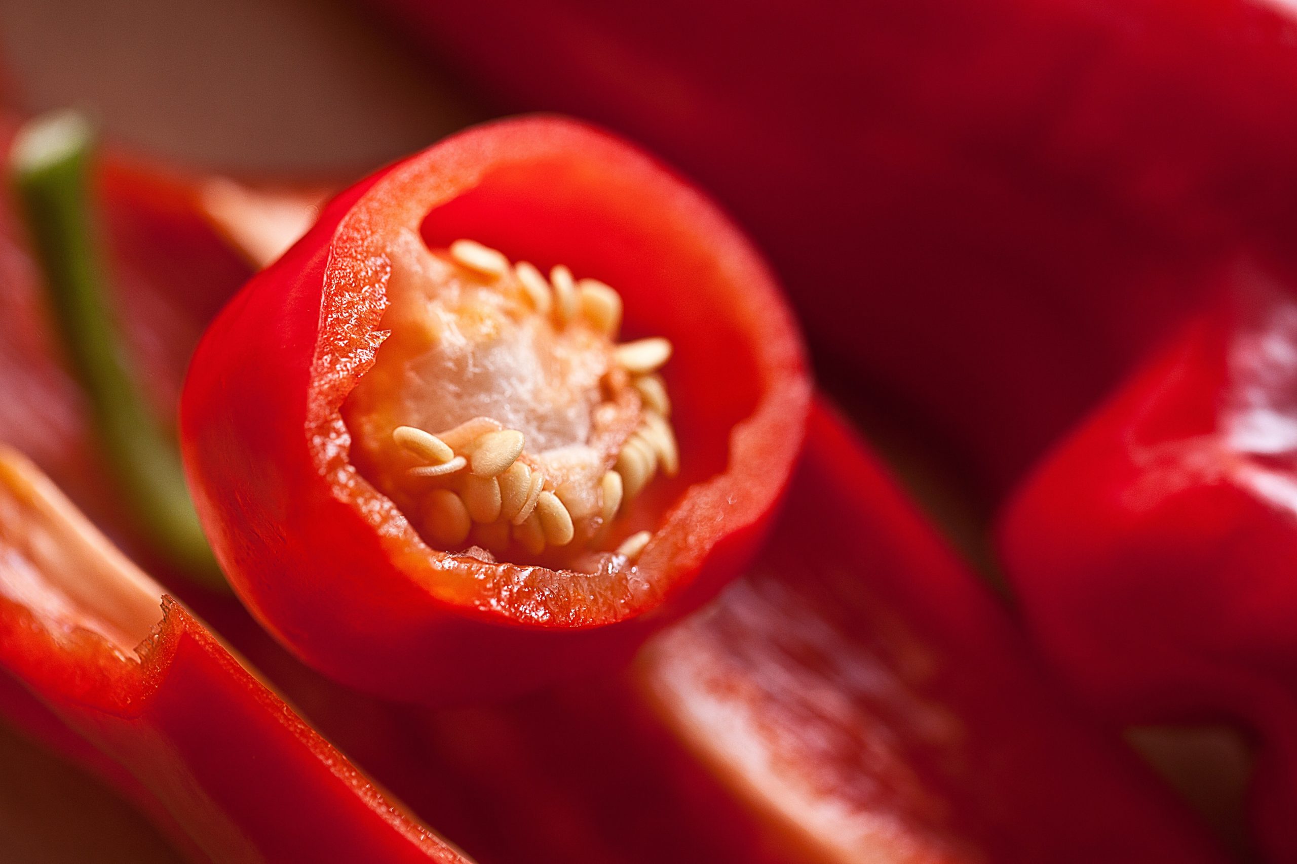 Suttons red chilli pepper plants and seeds care advice growing tips