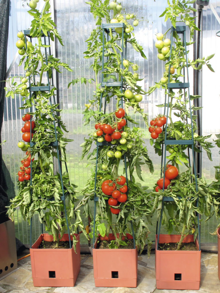 large planter filled with vegetables