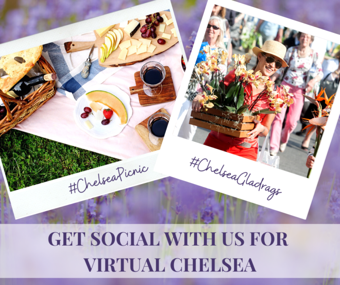Get-social-with-us-for-Virtual-Chelsea-4.png