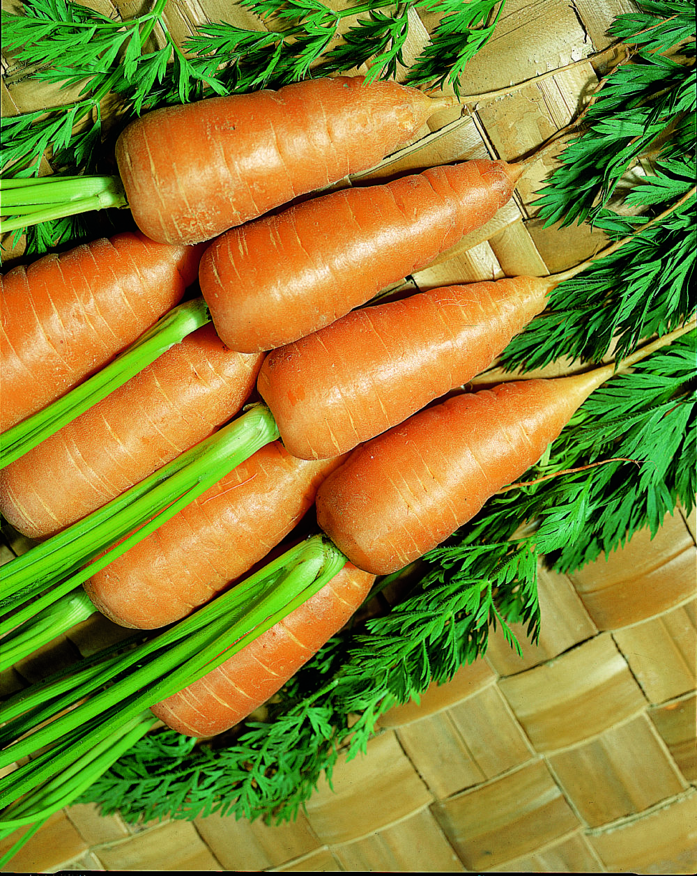 Carrot Chantenay Red Cored 2 Suttons Gardening Grow How
